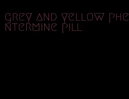 grey and yellow phentermine pill