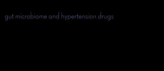 gut microbiome and hypertension drugs