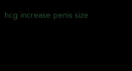 hcg increase penis size