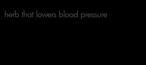 herb that lowers blood pressure