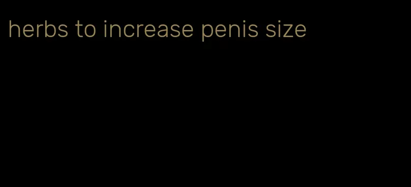 herbs to increase penis size