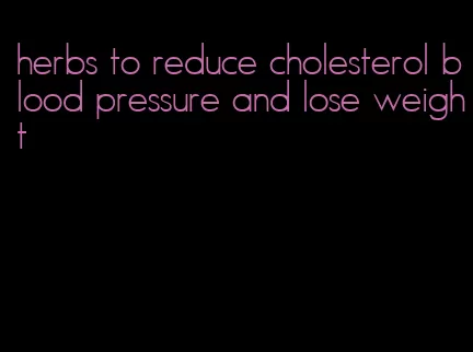 herbs to reduce cholesterol blood pressure and lose weight