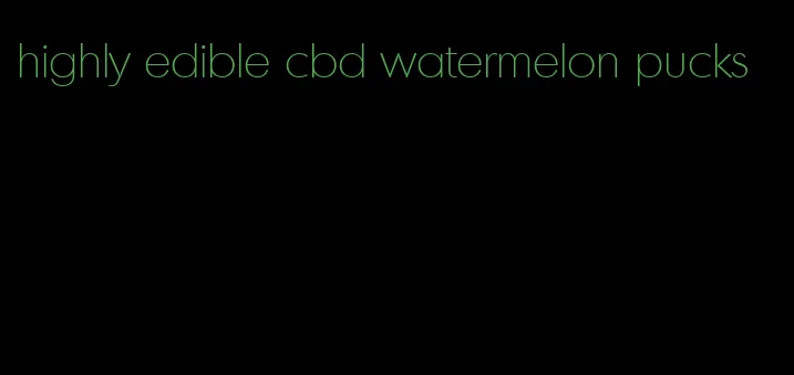 highly edible cbd watermelon pucks