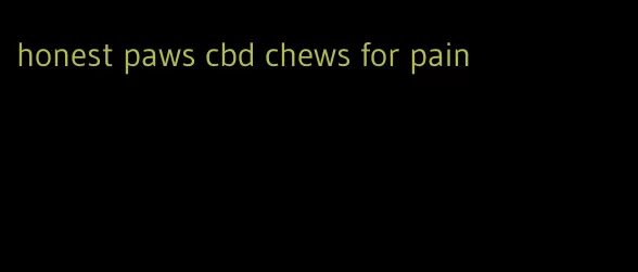 honest paws cbd chews for pain