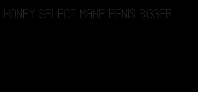 honey select make penis bigger