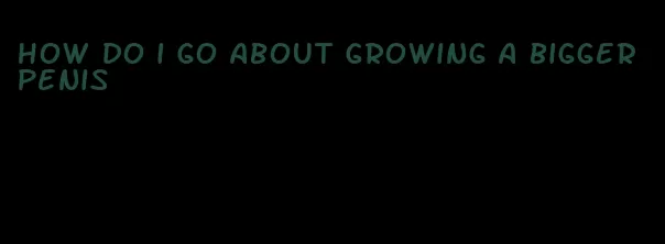 how do i go about growing a bigger penis