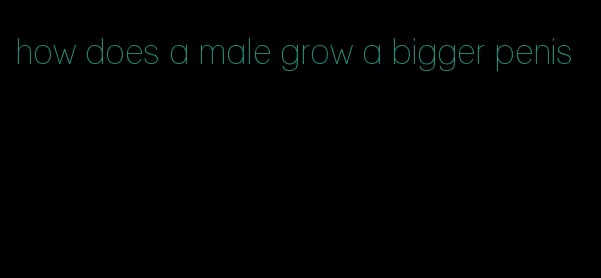 how does a male grow a bigger penis