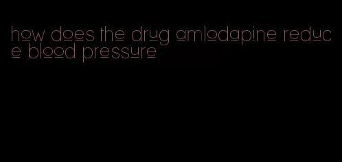 how does the drug amlodapine reduce blood pressure