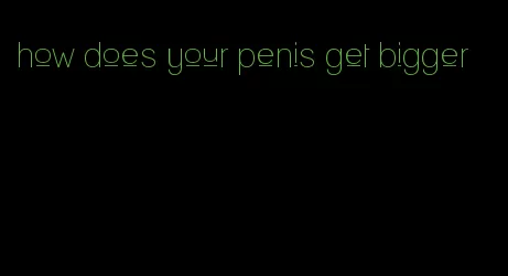 how does your penis get bigger