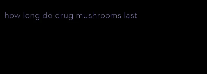 how long do drug mushrooms last