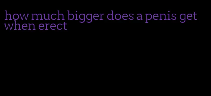 how much bigger does a penis get when erect