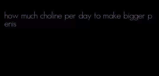 how much choline per day to make bigger penis