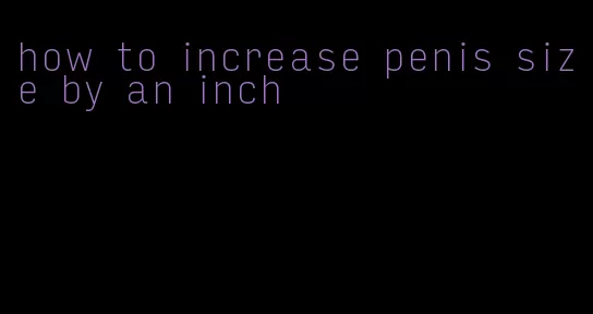 how to increase penis size by an inch