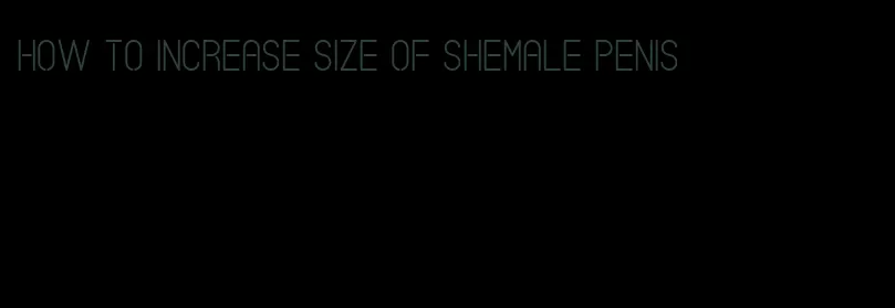 how to increase size of shemale penis