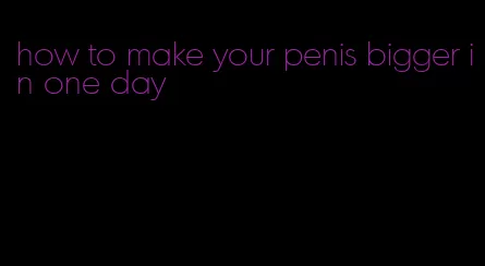 how to make your penis bigger in one day