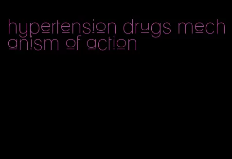 hypertension drugs mechanism of action