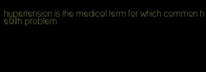 hypertension is the medical term for which common health problem