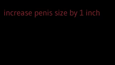 increase penis size by 1 inch