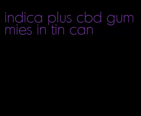 indica plus cbd gummies in tin can