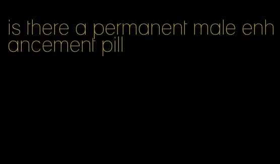 is there a permanent male enhancement pill