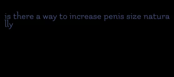 is there a way to increase penis size naturally