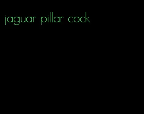 jaguar pillar cock