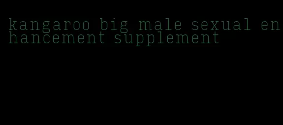 kangaroo big male sexual enhancement supplement