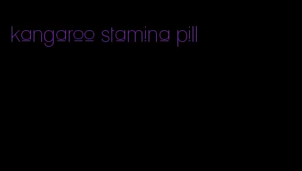 kangaroo stamina pill