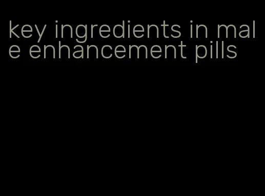 key ingredients in male enhancement pills