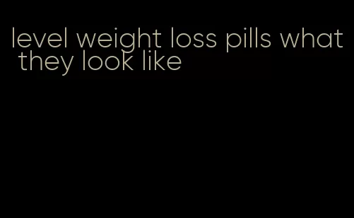 level weight loss pills what they look like