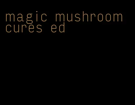 magic mushroom cures ed