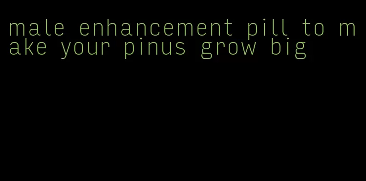 male enhancement pill to make your pinus grow big