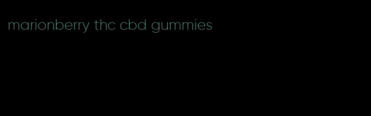 marionberry thc cbd gummies