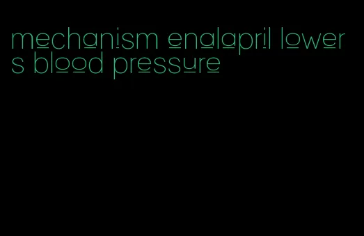 mechanism enalapril lowers blood pressure