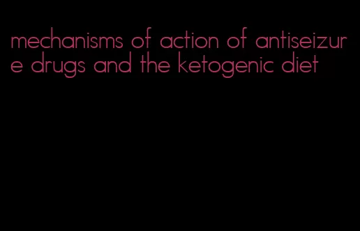 mechanisms of action of antiseizure drugs and the ketogenic diet