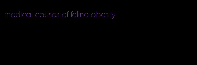 medical causes of feline obesity