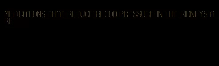 medications that reduce blood pressure in the kidneys are