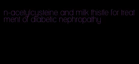 n-acetylcysteine and milk thistle for treatment of diabetic nephropathy