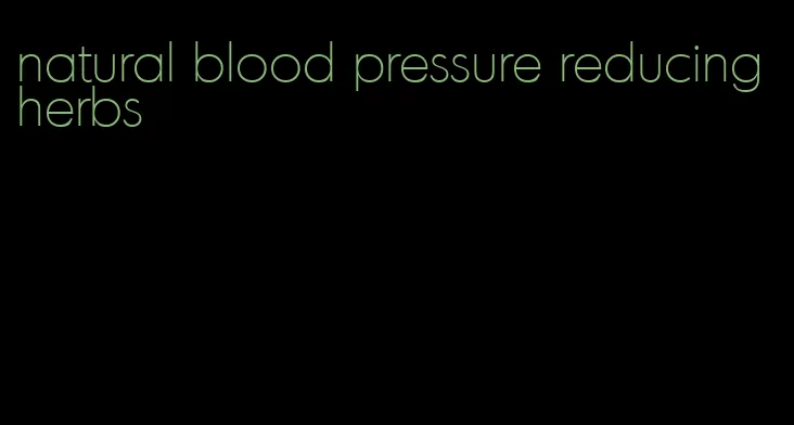 natural blood pressure reducing herbs