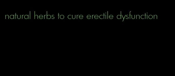 natural herbs to cure erectile dysfunction