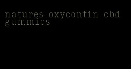 natures oxycontin cbd gummies