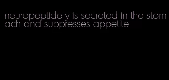 neuropeptide y is secreted in the stomach and suppresses appetite