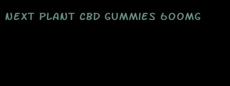 next plant cbd gummies 600mg