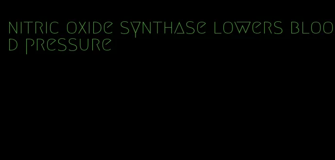 nitric oxide synthase lowers blood pressure