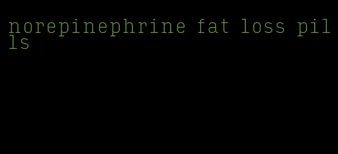 norepinephrine fat loss pills