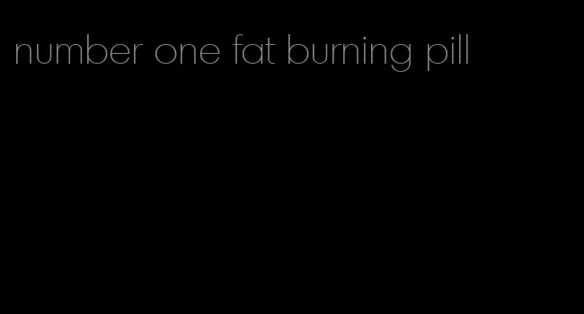 number one fat burning pill