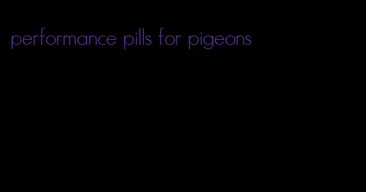 performance pills for pigeons