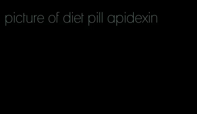 picture of diet pill apidexin