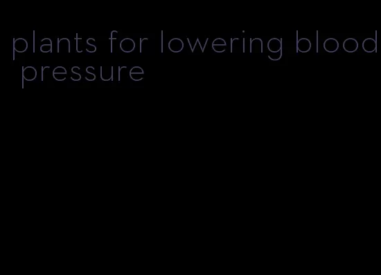 plants for lowering blood pressure