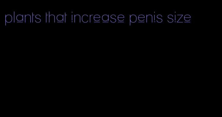 plants that increase penis size